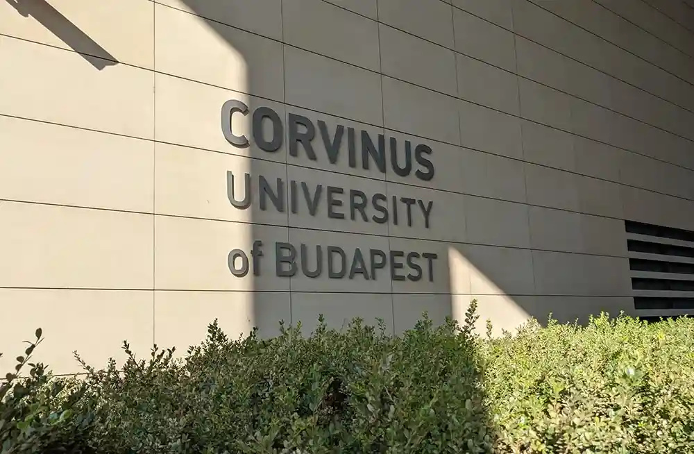 دانشگاه کوروینوس