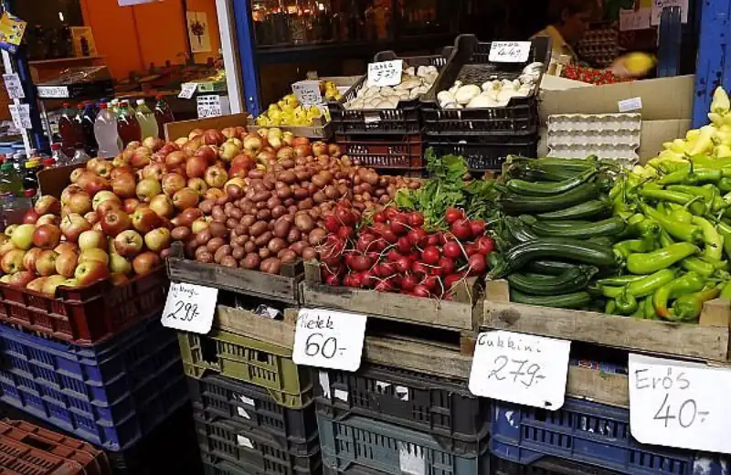 هزینه های زندگی در مجارستان