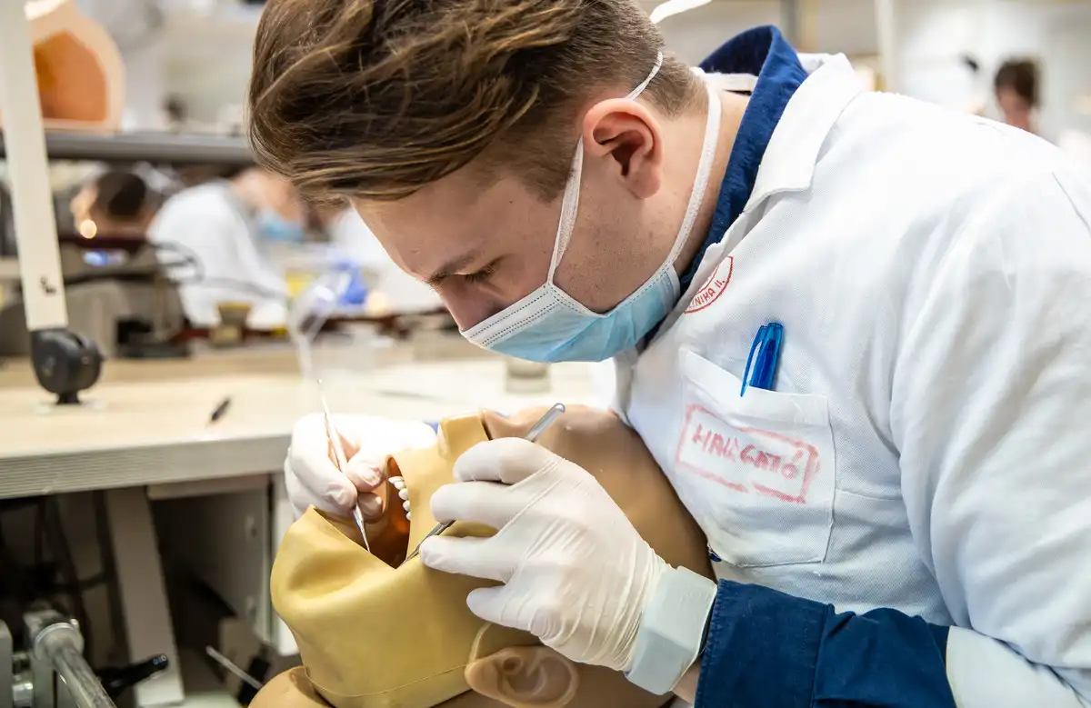 کارورزی دندانپزشکی مجارستان